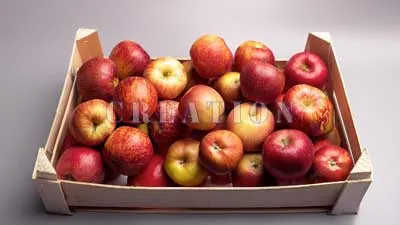 箱入りリンゴの写真