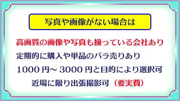 写真や画像がない場合
